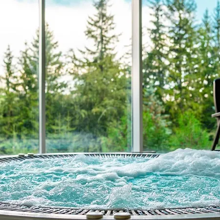 Gorski Kompleks Turystyczny Czeszka I Slowaczka 3* Świeradów-Zdrój